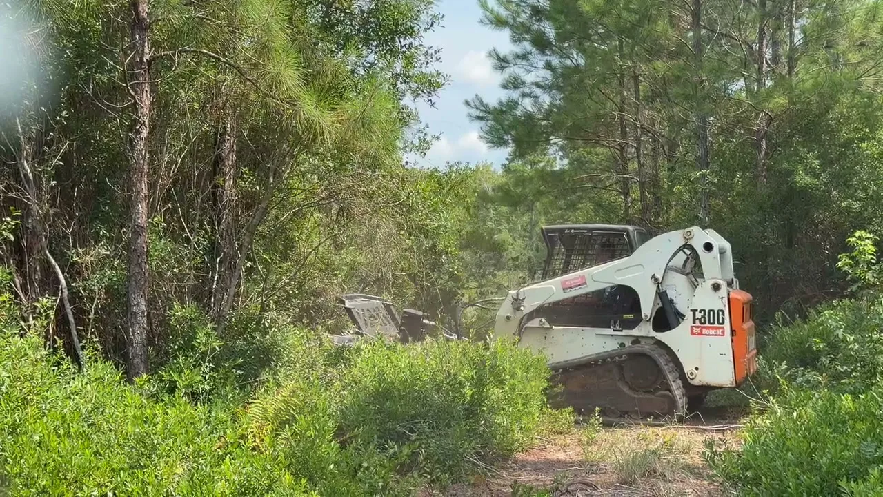 Land clearing and forestry mulching in Whiteville, NC