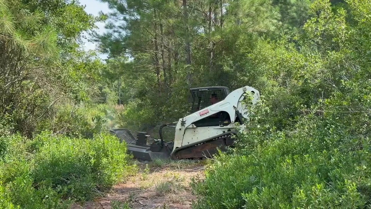 Bobcat T300 forestry mulcher pushing into thick green brush on a South Carolina tract