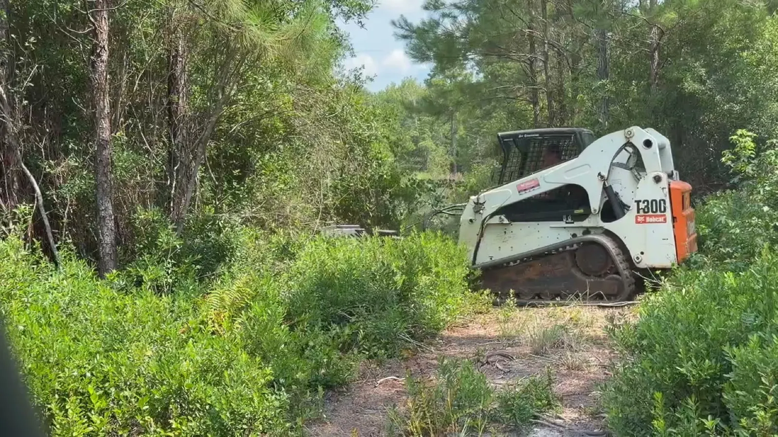 Bush hogging a path through overgrown field growth in coastal South Carolina