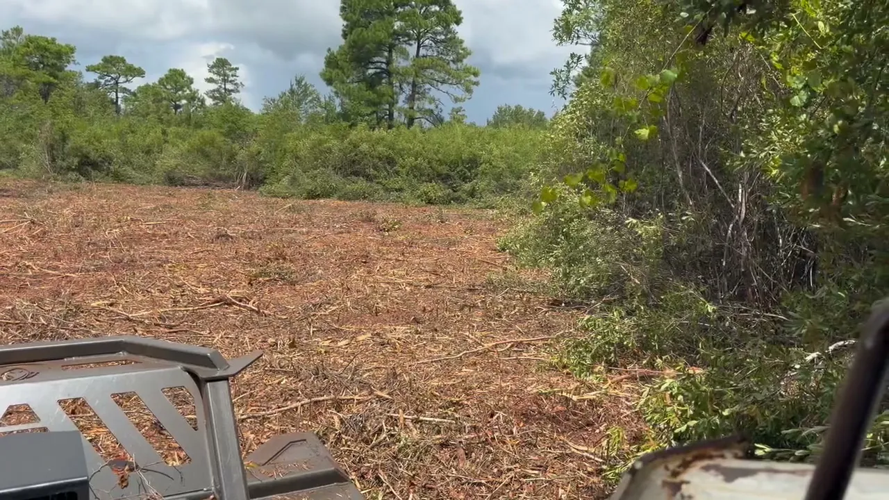 A wall of uncleared brush and pines beside freshly mulched ground, seen from the cab of a Bobcat T300 forestry mulcher