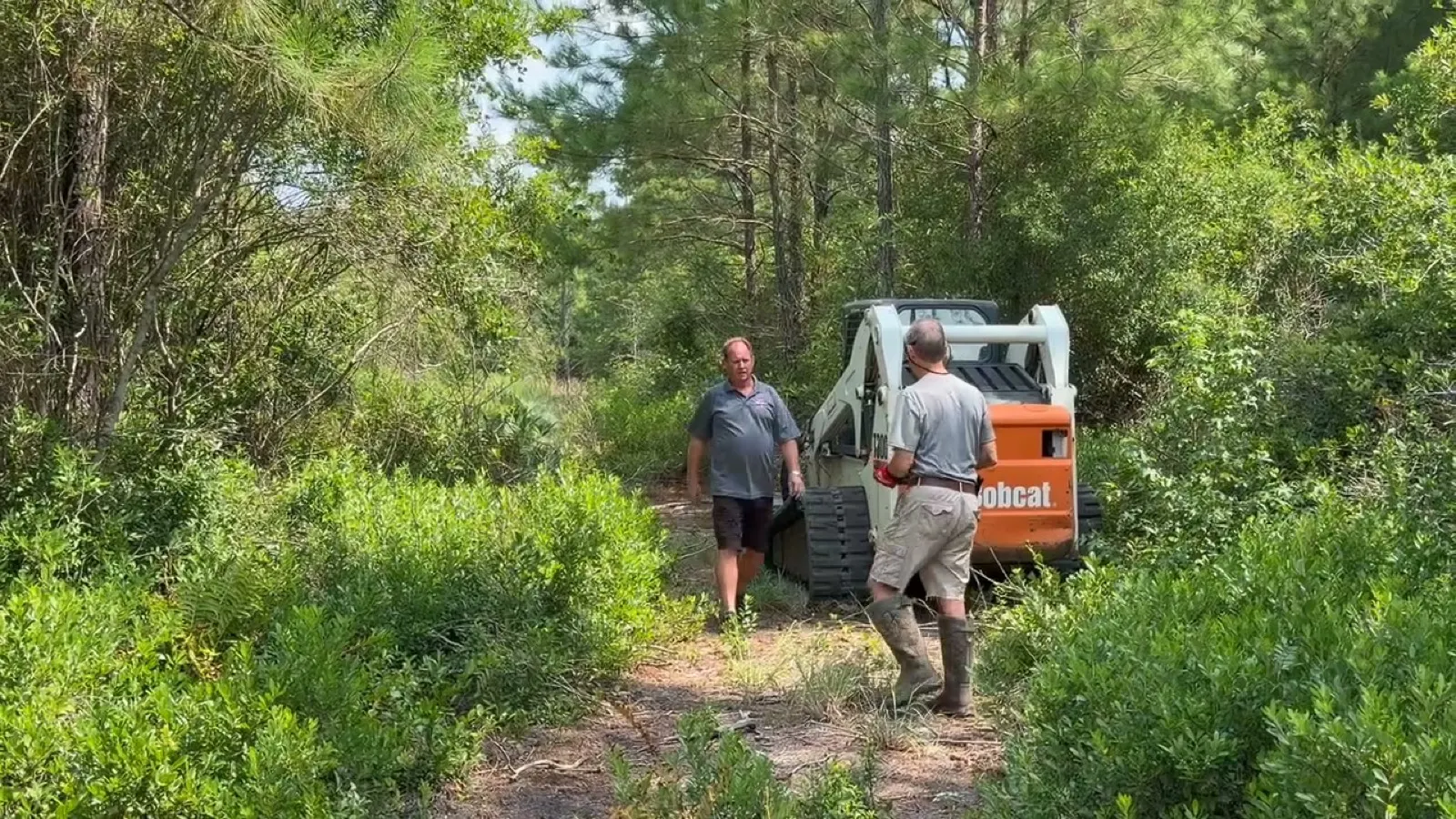 Land Clearing in Myrtle Beach, SC