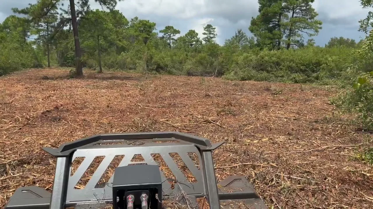 Land Clearing in Southport, NC