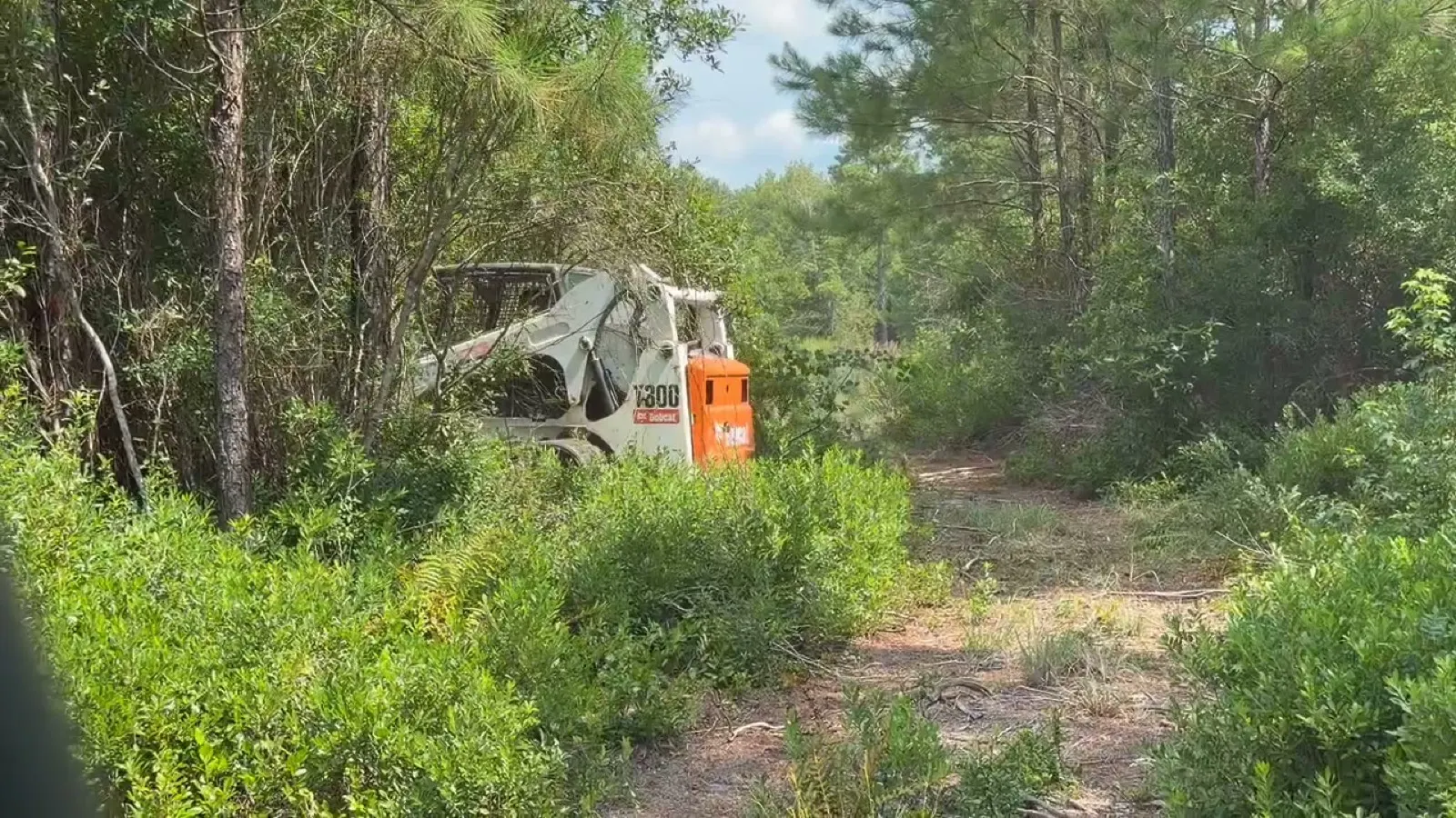 Land Clearing in Calabash, NC